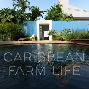 Bed and breakfast 4 Casitas, Cabo Rojo